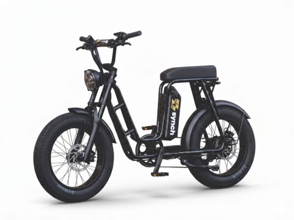 Step Through Pro 250w